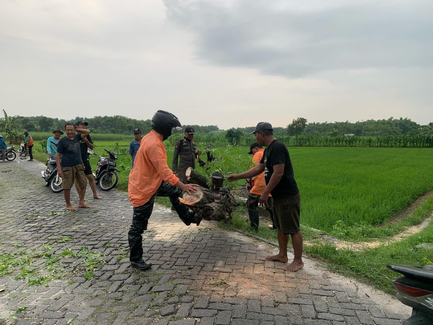 Foto: TRC KEMBANGBAHU EVAKUASI POHON PASCA KEJADIAN ANGIN KENCANG