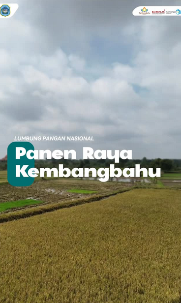 Foto: Capaian Pertanian panen dan Tanam Padi