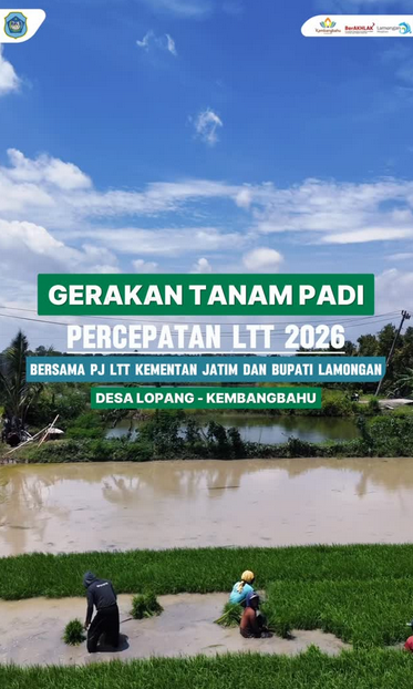 Foto: Gerakan Tanam Padi untuk mendukung percepatan Luas Tambah Tanam (LTT) padi tahun 2026 dilaksanakan di Desa Lopang bersama Bapak PJ LTT Kementerian Pertanian wilayah Jawa Timur dan Bupati Lamongan