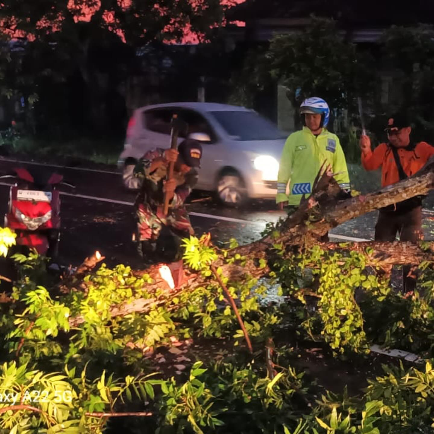 Foto: Respon Cepat penanganan kejadian pohon tumbang di Jalan Nasional