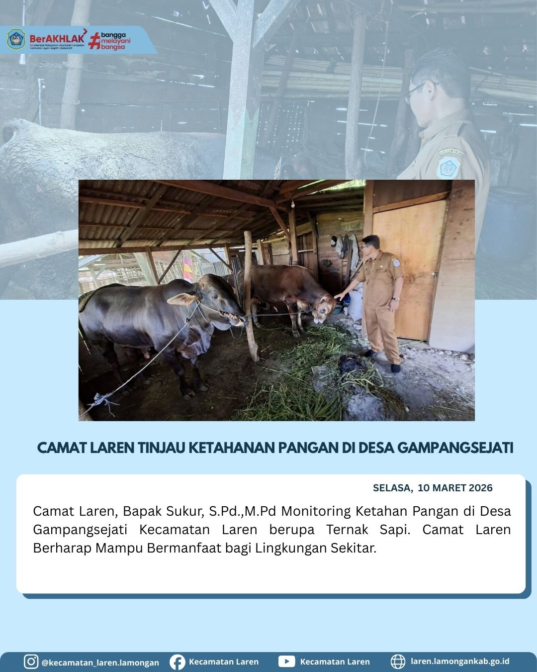 Foto: Camat Laren Tinjau Ketahanan Pangan melalui Peternakan Sapi di Desa Gampengsejati