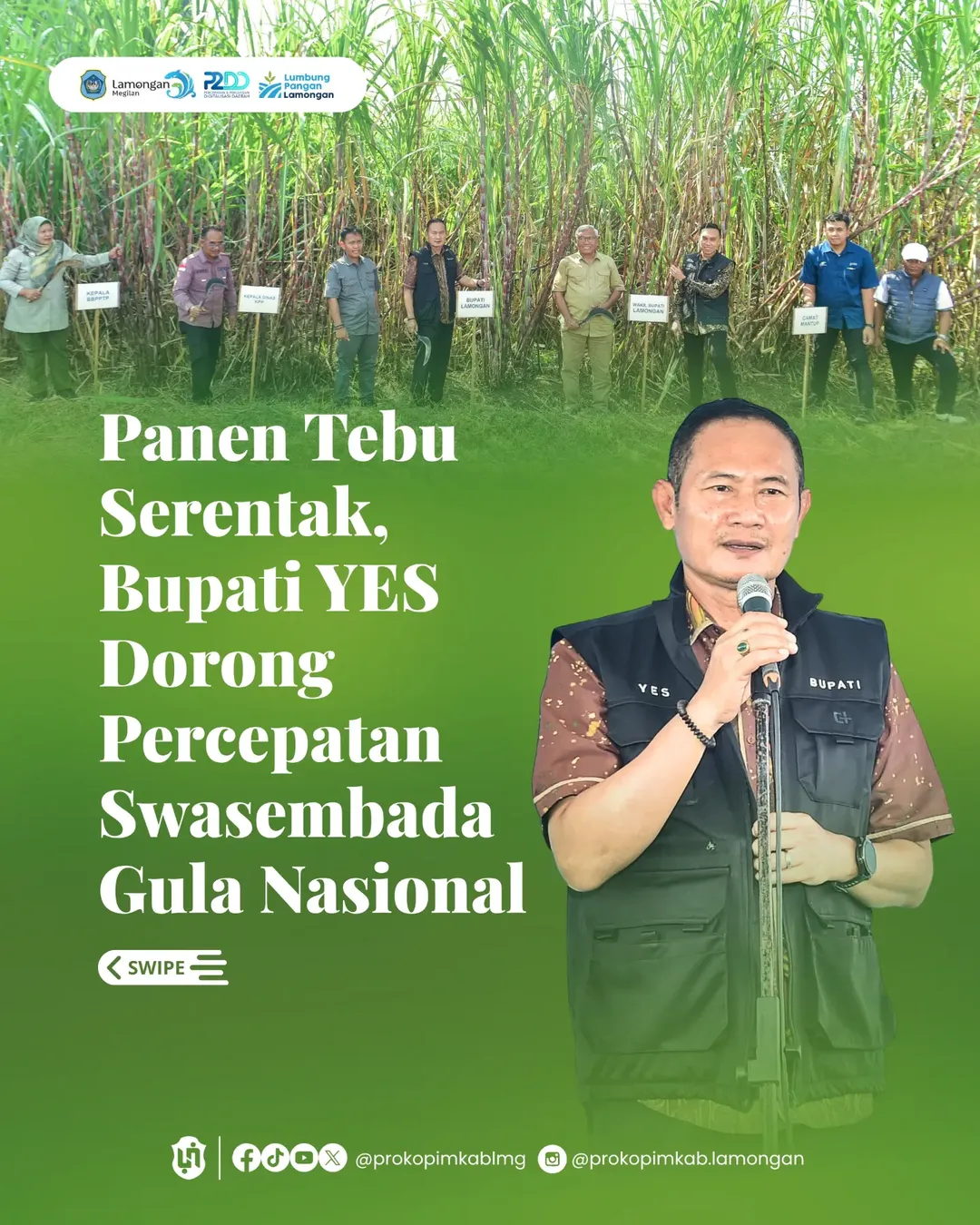 Foto: Panen Tebu Serentak, Bupati YES Dorong Percepatan Swasembada Gula Nasional