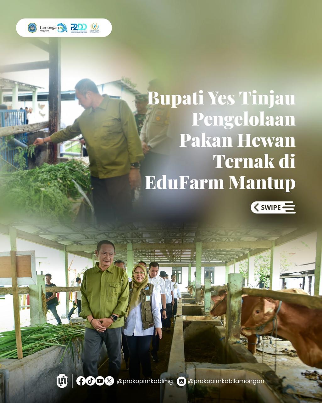 Foto: Bupati Yes Tinjau Pengelolaan Pakan Hewan Ternak di EduFarm Mantup