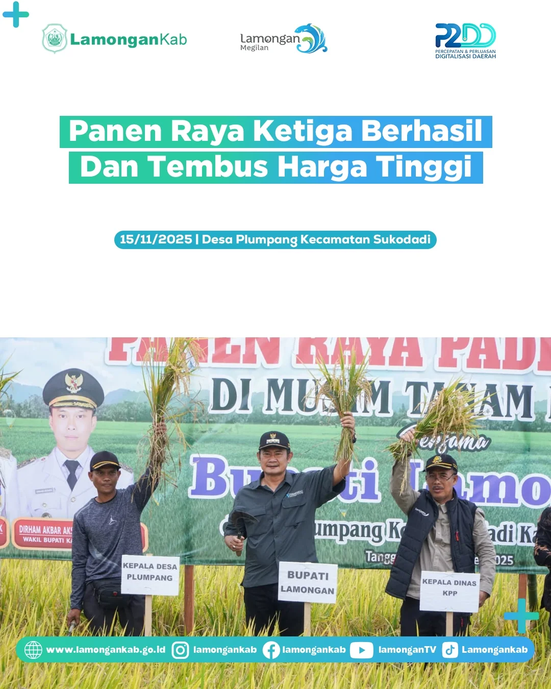 Foto: Panen Raya Ketiga Berhasil dan Tembus Harga Tertinggi