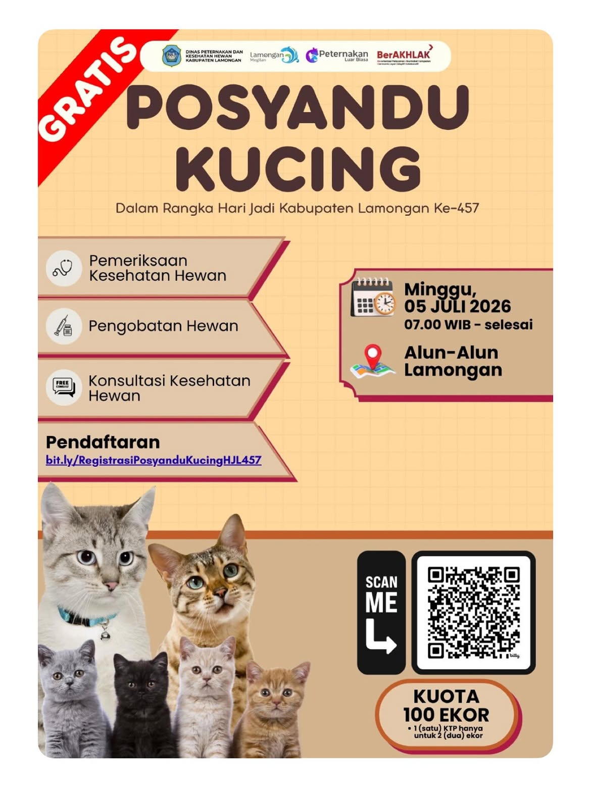 Foto: 🐱✨ GRATIS! POSYANDU KUCING DI LAMONGAN ✨🐱