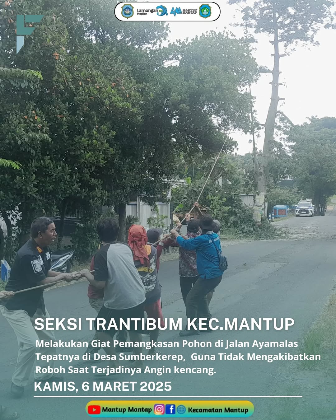 Giat Pemangkasan Pohon di Jalan Ayamalas di Desa Sumberkerep