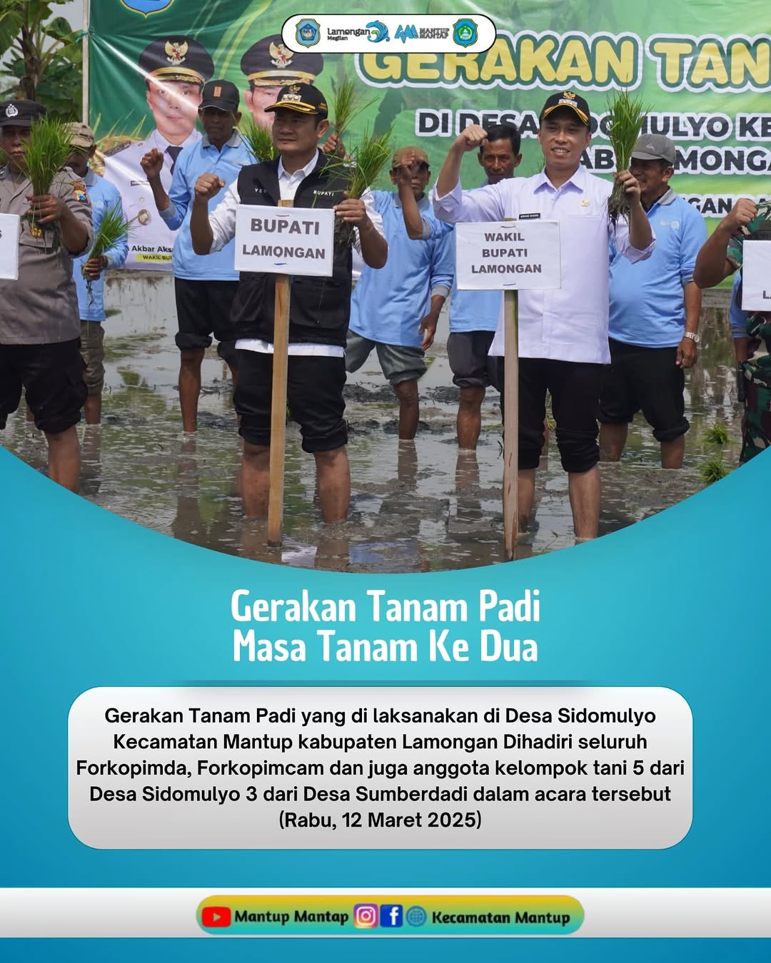 Gerakan Tanam Padi Masa Tanak Ke Dua Di Desa Sidomulyo Kecamatan Mantup Kabupaten Lamongan