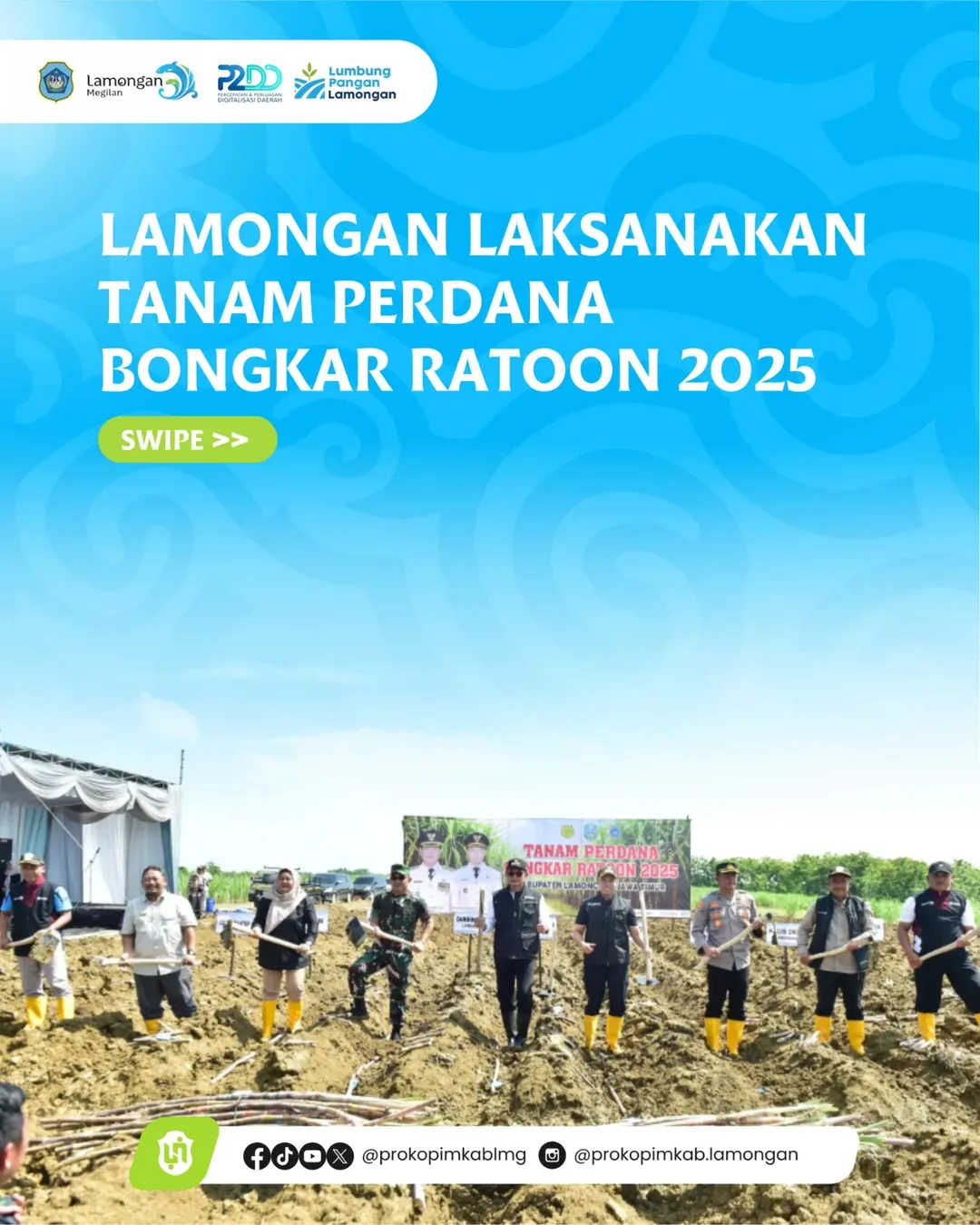 Foto: Lamongan Laksanakan Tanam Perdana Bongkar Ratoon 2025