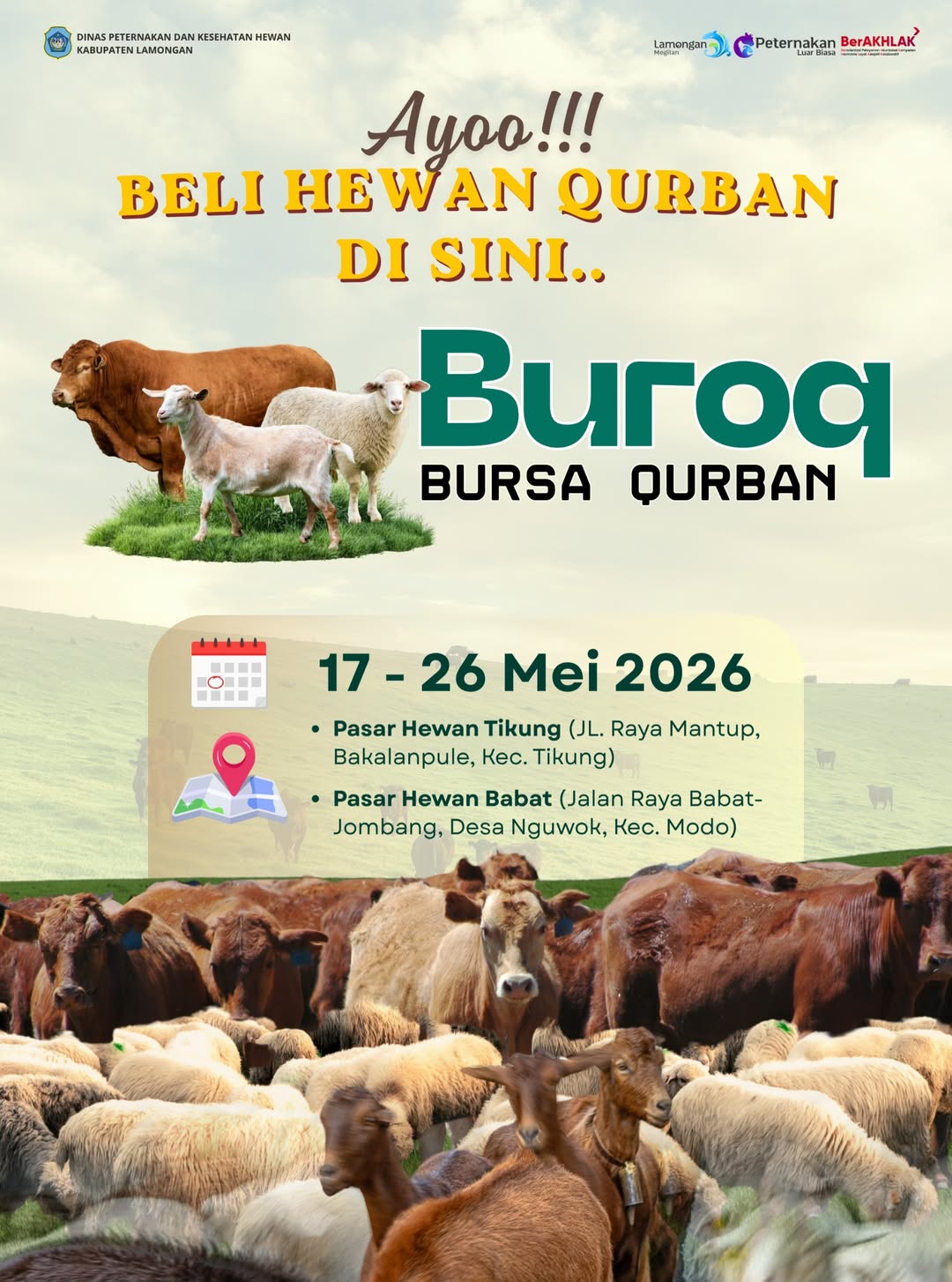 Foto: 🐄🐐 Ayo Beli Hewan Qurban di BUROQ (Bursa Qurban) Kabupaten Lamongan! 🌙✨