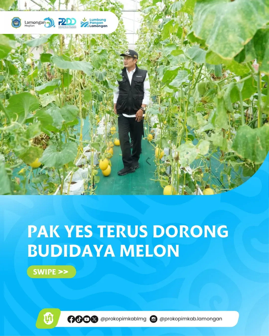 Foto: Pak YES Terus Dorong Budidaya Melon