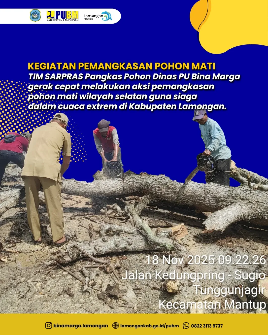 Foto: Kegiatan Pemangkasan Pohon Mati