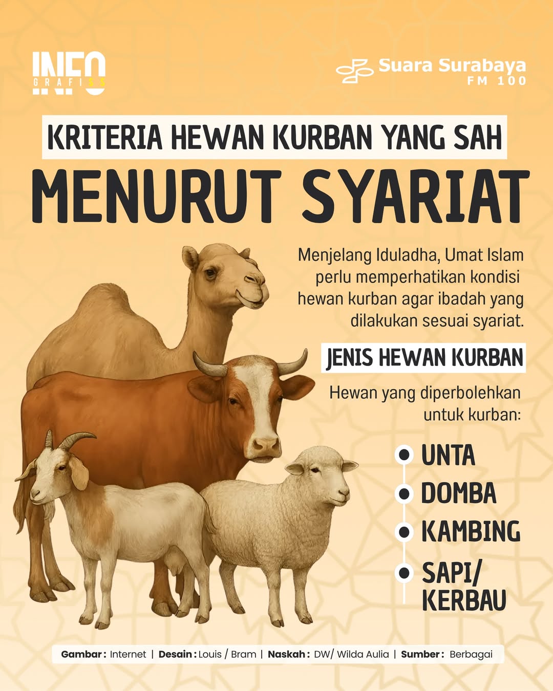 Foto: Kriteria Hewan Kurban Yang Sah Menurut Syariat