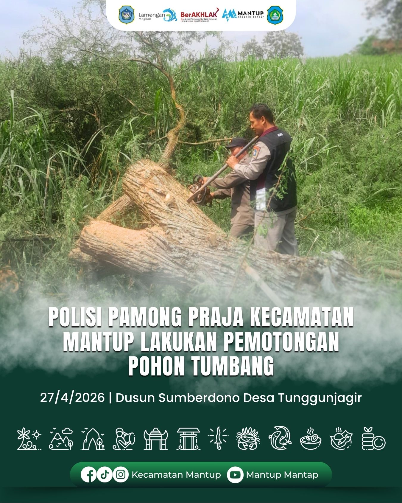 Foto: Polisi Pamong Praja Kecamatan Mantup Lakukan Pemotongan Pohon Tumbang di Jalan Dusun Sumberdono Desa Tunggunjagir