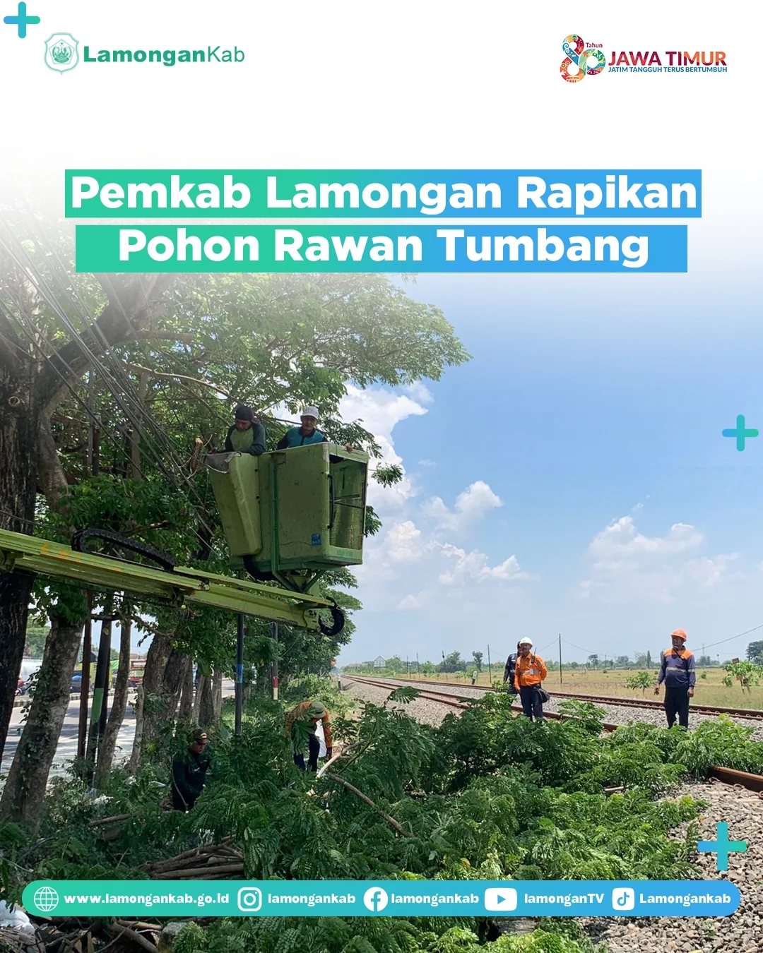 Foto: Pemkab Lamongan Rapikan Pohon Rawan Tumbang