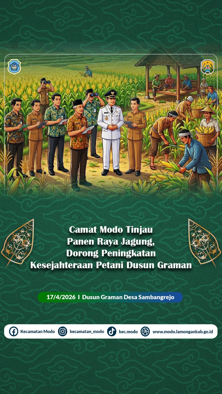 Foto: Camat Modo Tinjau Panen Raya Jagung, Dorong Peningkatan Kesejahteraan Petani Dusun Graman