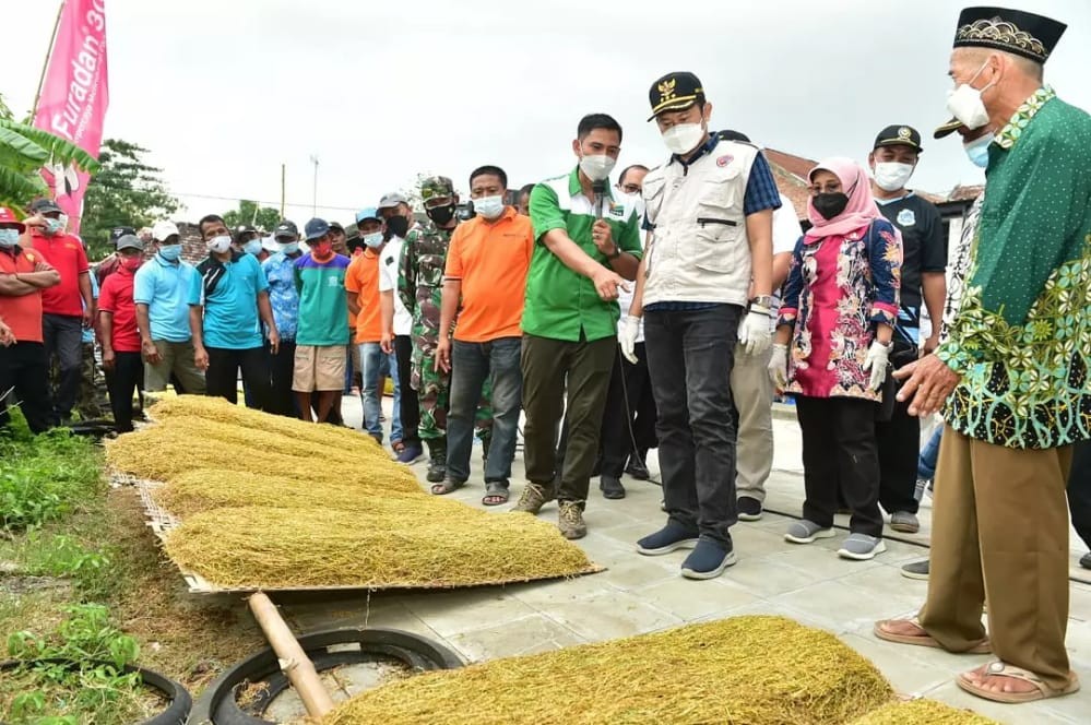 Mitigasi Resiko, Budidaya Tembakau Lamongan Akan Diasuransikan | Portal ...