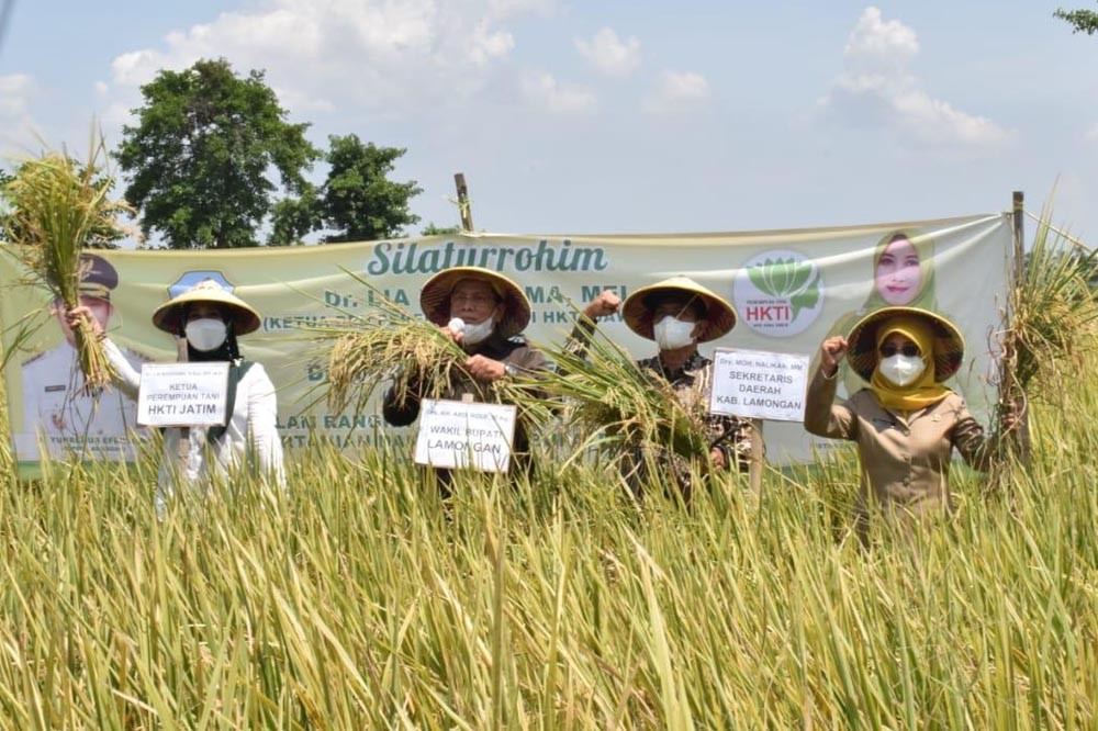 Panen Raya Padi, Lamongan Perkuat Ketahanan Pangan | Portal Berita ...