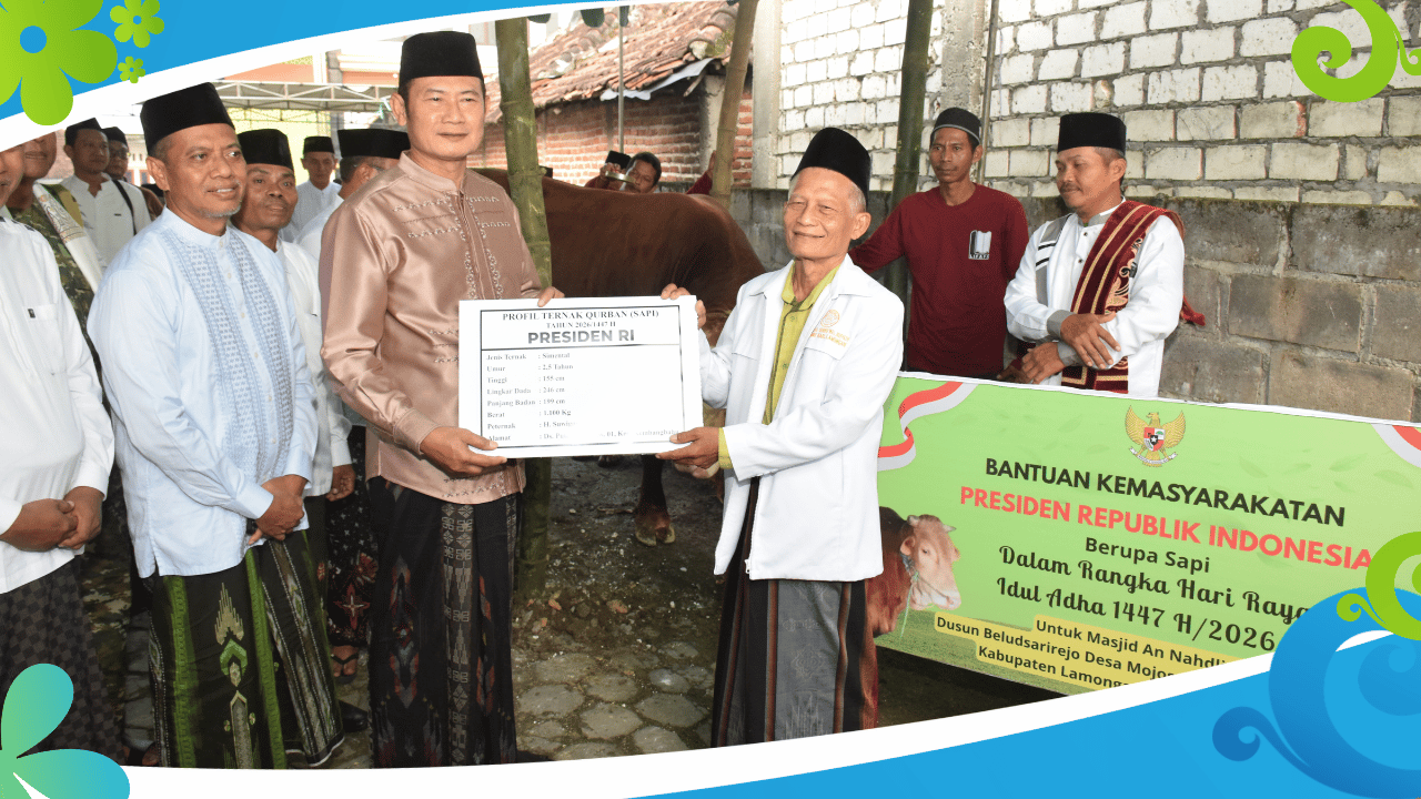 Sapi Kurban Presiden RI Disembelih di Mantup