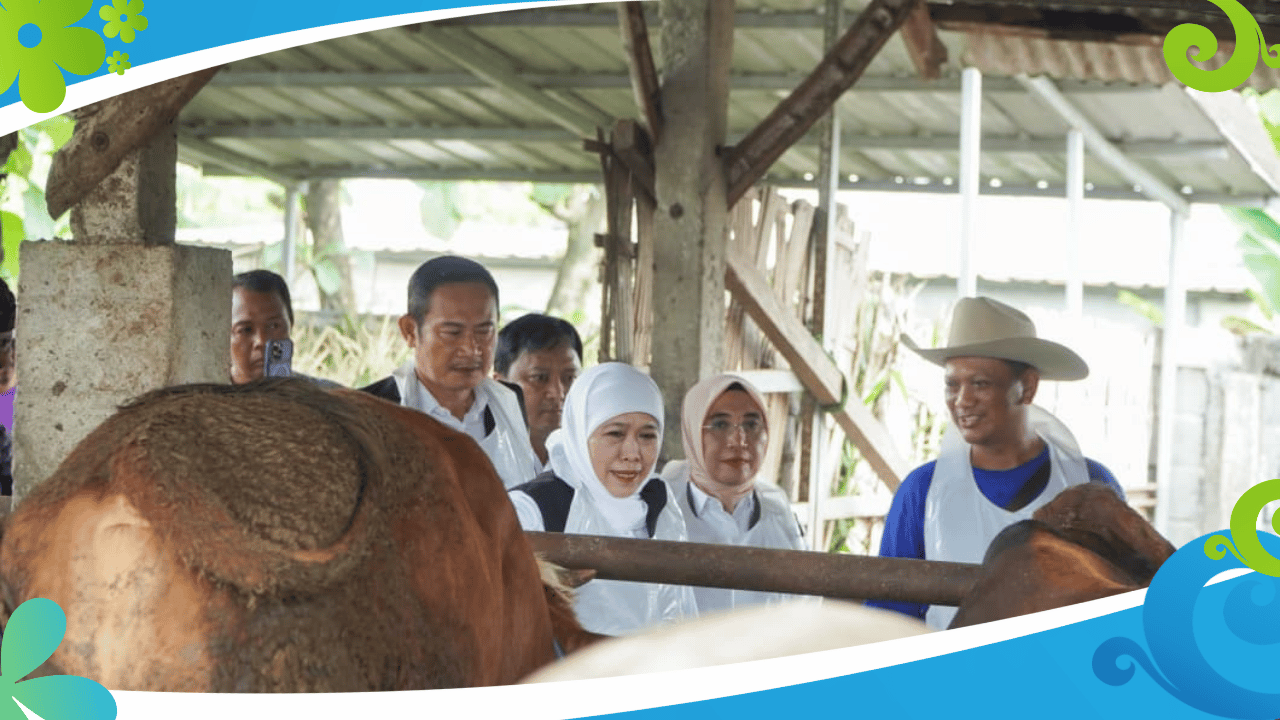Lamongan Masih Menjadi Daerah Dengan Ketersediaan Sapi Terbesar di Jawa Timur
