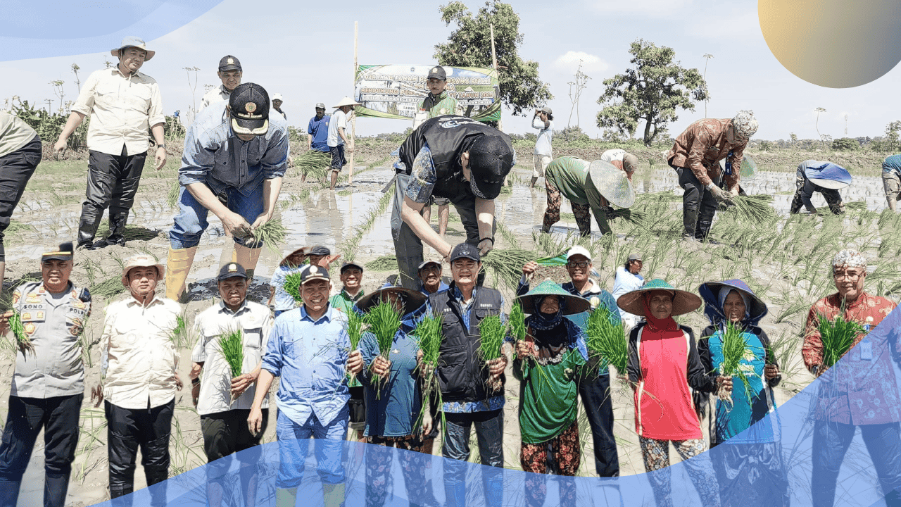 Percepatan LTT 2026, Gerakan Tanam MT 2 Mulai Dilaksanakan