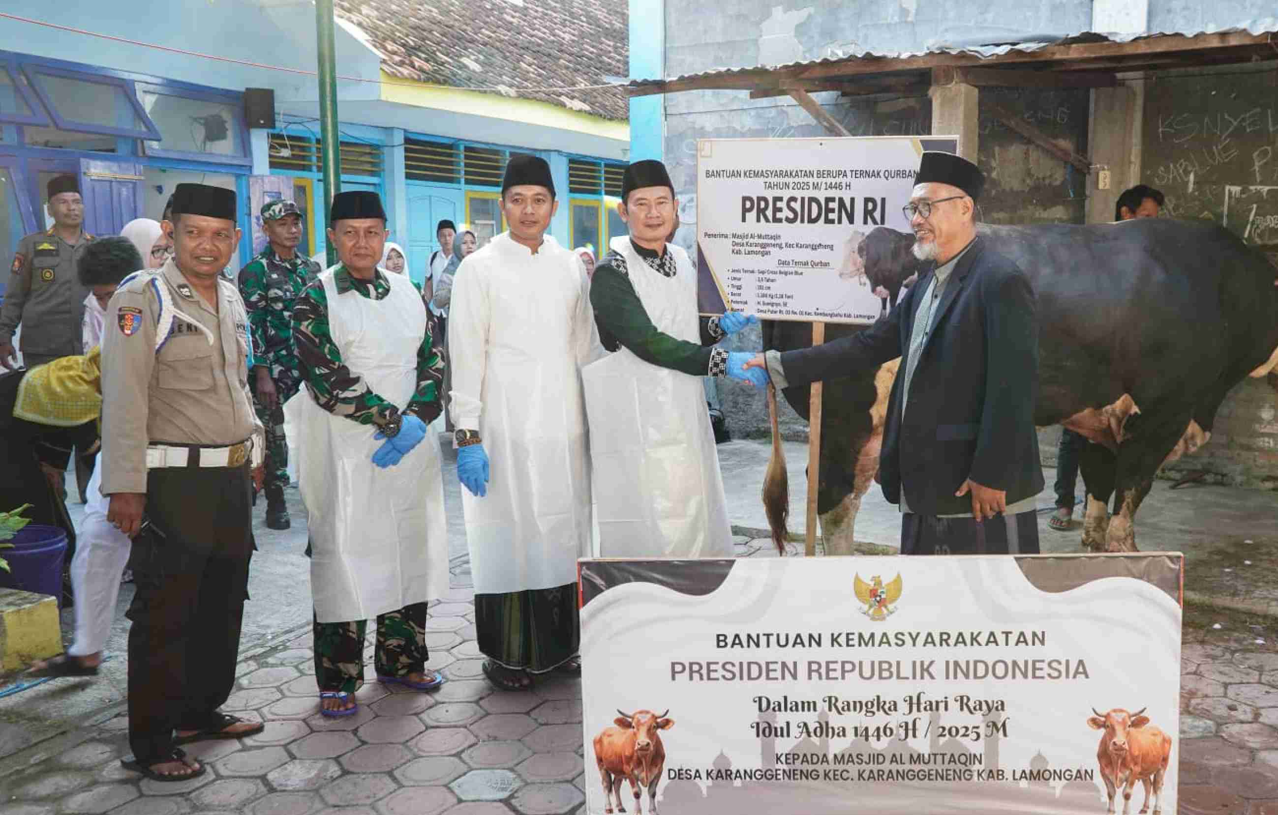 Bupati Yes Serahkan Sapi Kurban Bantuan Presiden ke Masjid Al Muttaqin