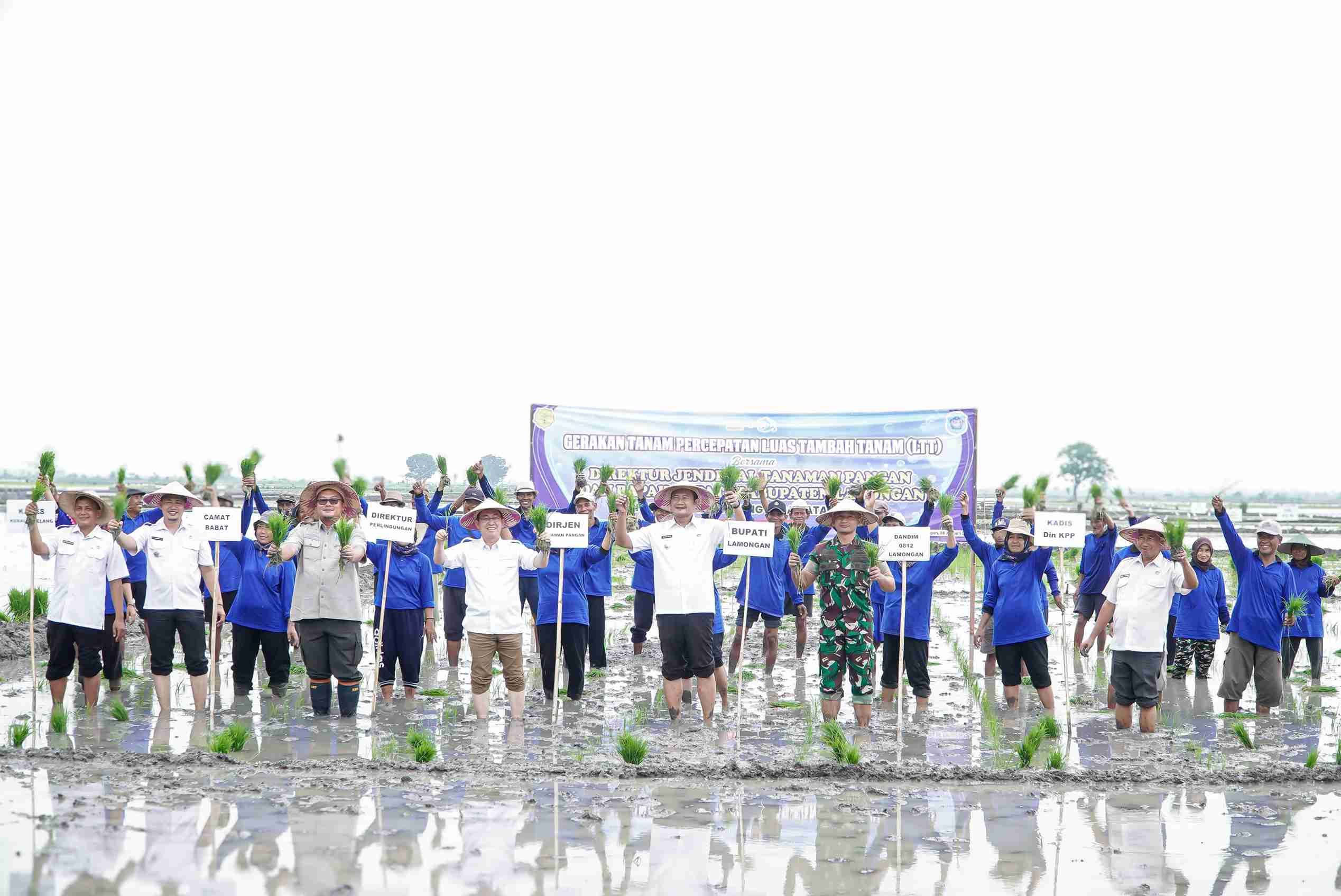 Luas Tambah Tanam Di Lamongan Lampaui Target Nasional