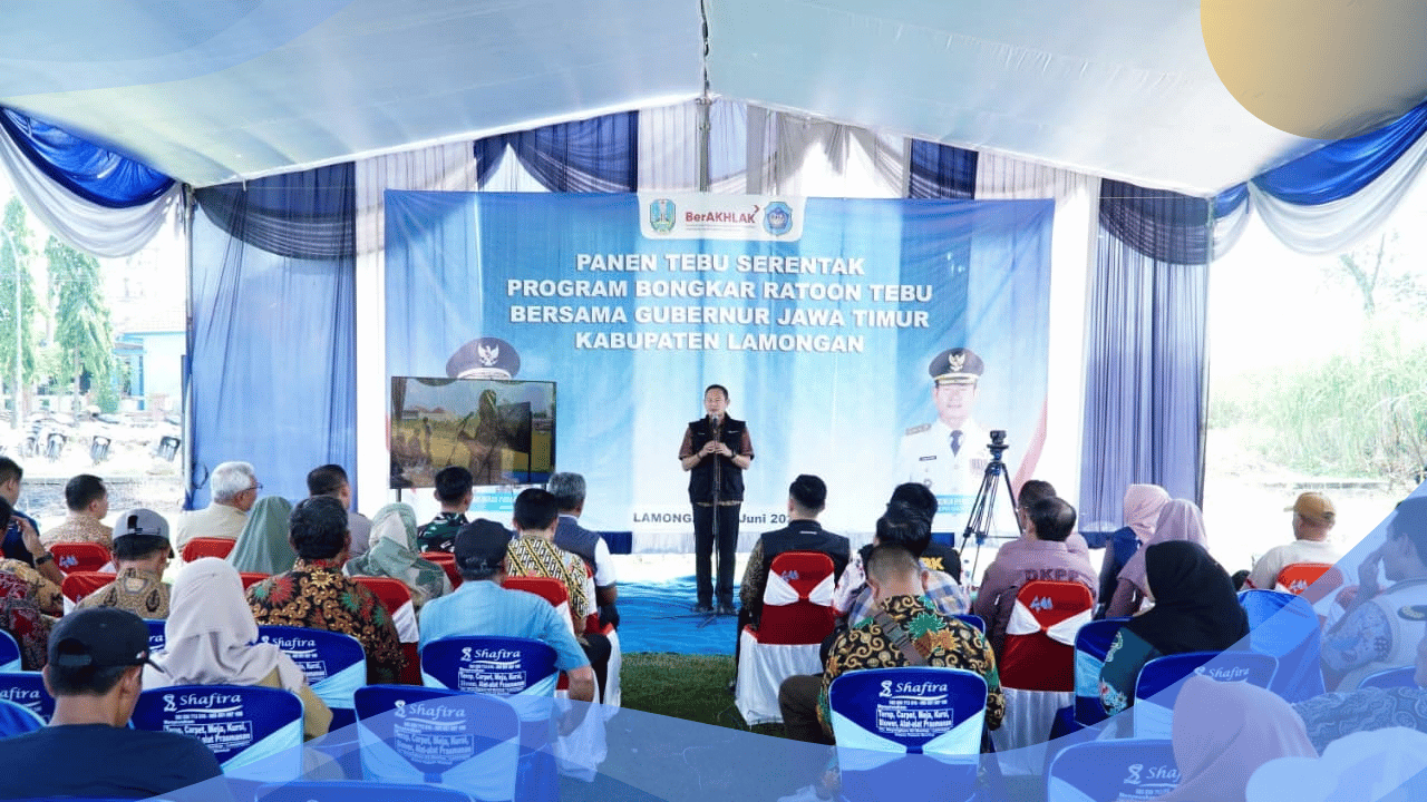 Lamongan Dijatah 1.385 Hektar Lahan Program Bongkar Ratoon di Tahun 2026