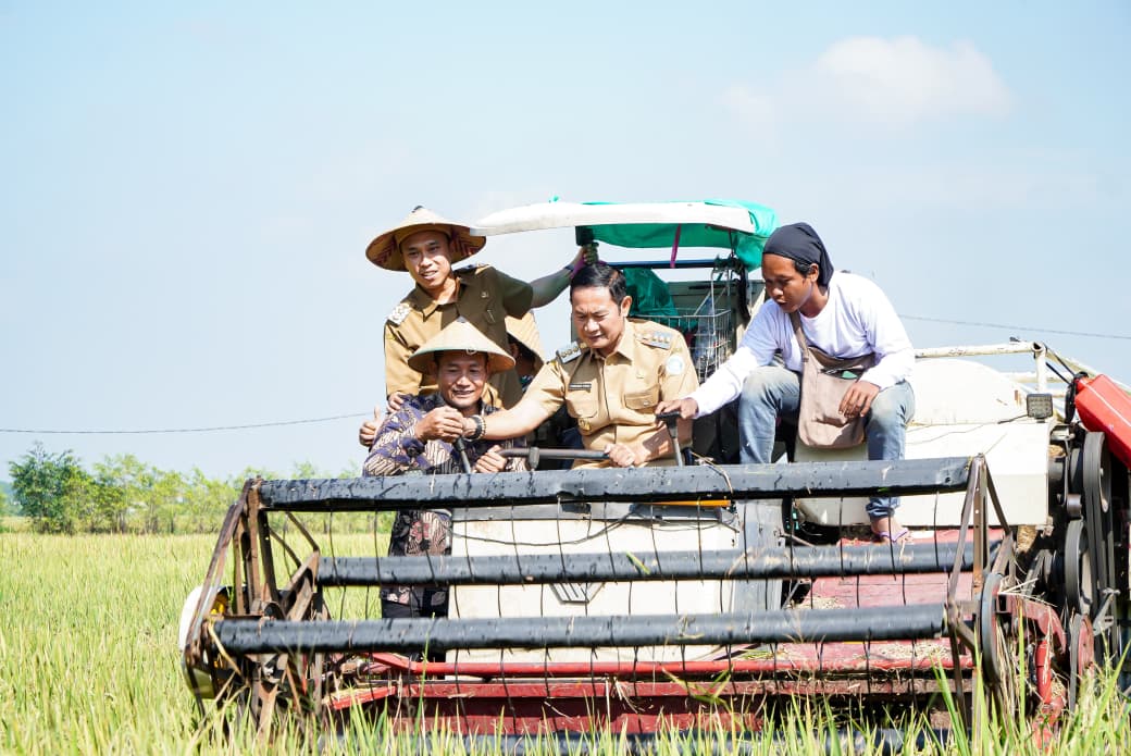 Kabupaten Lamongan Menempati Peringkat Pertama Produksi Padi Se Jawa Timur