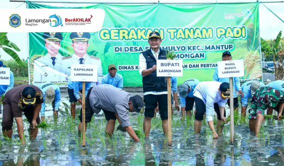 Lamongan Mulai Musim Tanam 2, Pak YES Optimistis Swasembada