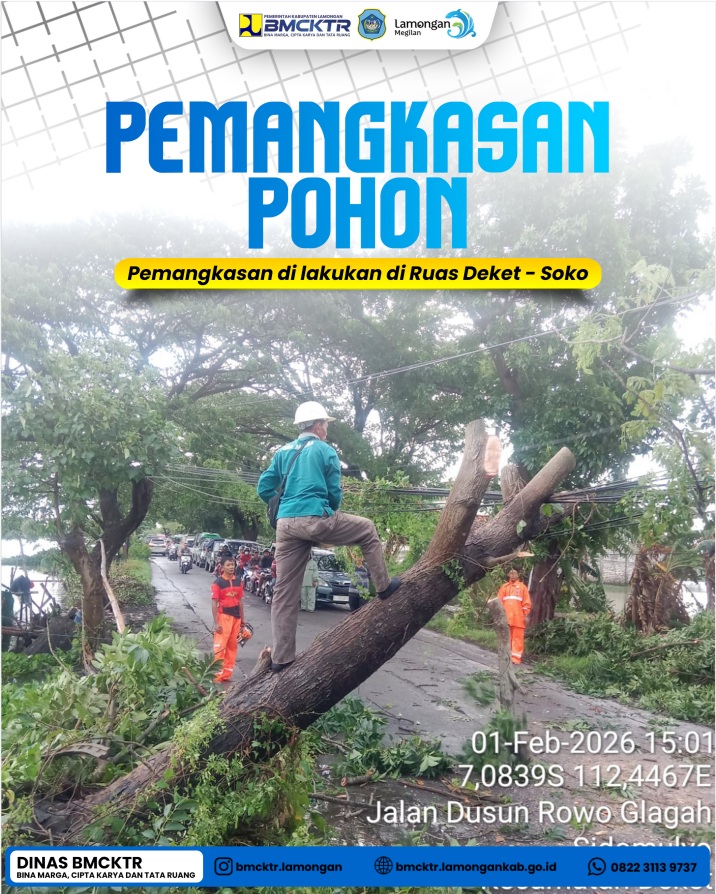 PEMANGKASAN POHON DEKET-SOKO