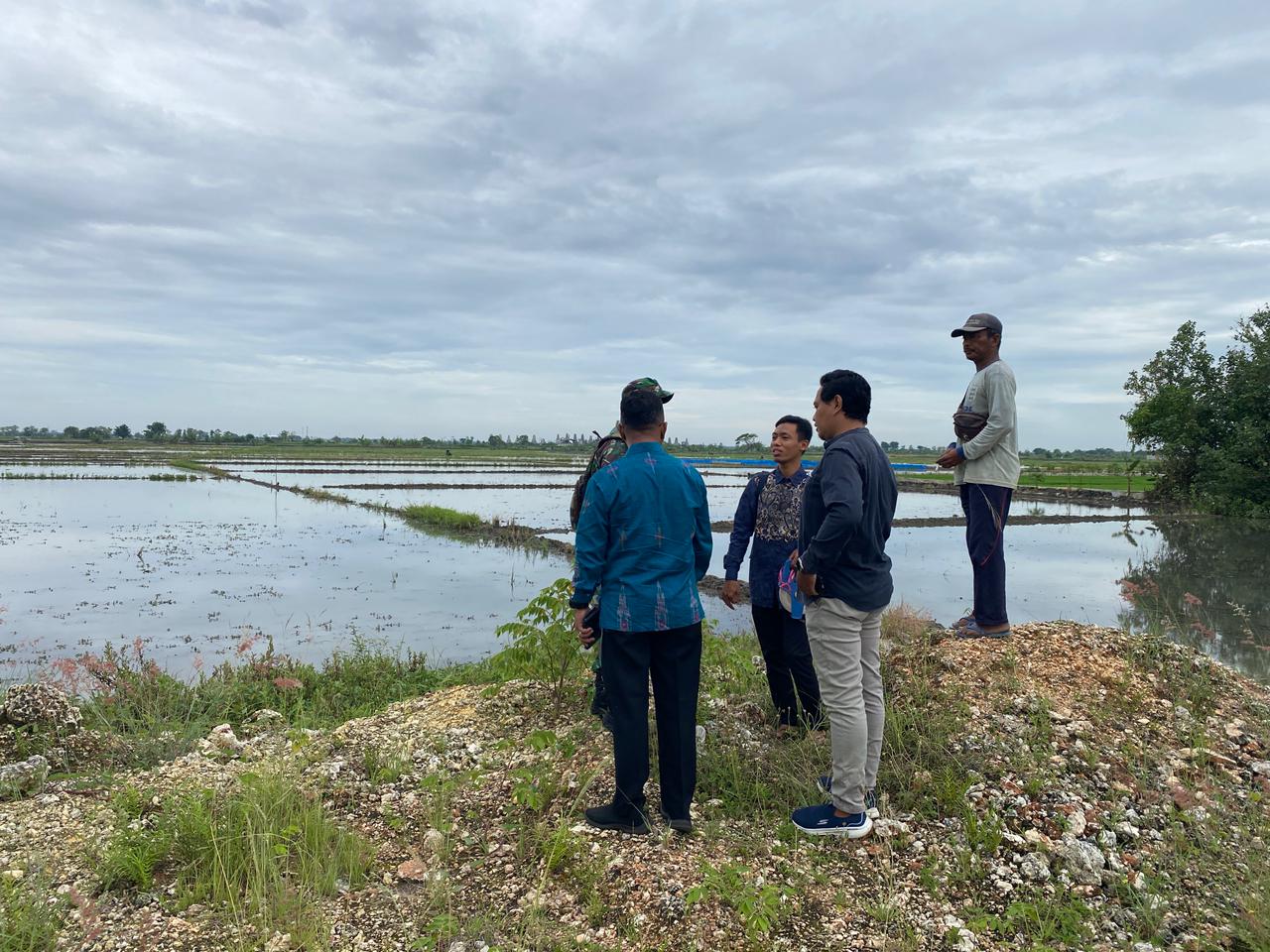 Foto: SURVEY DAN PENGUKURAN LAHAN PEMBANGUNAN KOPERASI DESA MERAH PUTIH DESA KESAMBI KECAMATAN PUCUK