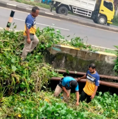 Foto: Edukasi: Pentingnya Pembersihan Eceng Gondok agar Tidak Mengganggu Operasional Pompa di Bedahan Babat