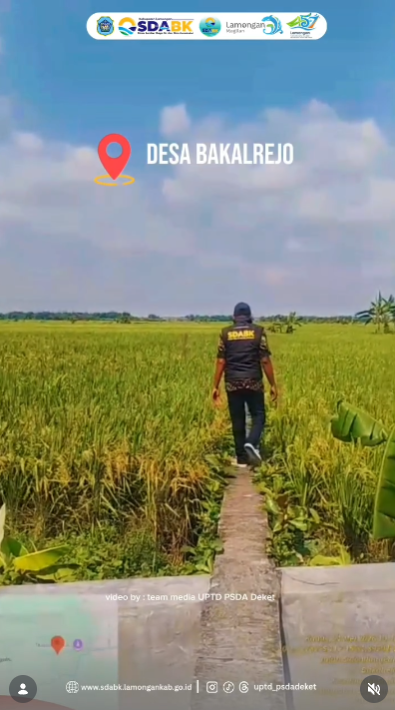 Foto: Monitoring Kondisi Tanaman Padi di Wilayah Sidorejo, UPTD PSDA Deket Pastikan Kelancaran MT II