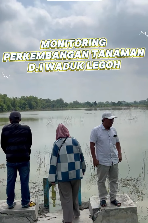 Foto: Monitoring Perkembangan Tanaman D.I Waduk Legoh