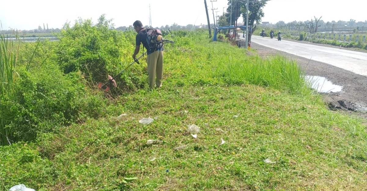 Foto: Pemeliharaan Infrastruktur Pengairan melalui Pemotongan Rumput di Tanggul Rawa Sebanget Sisi Timur