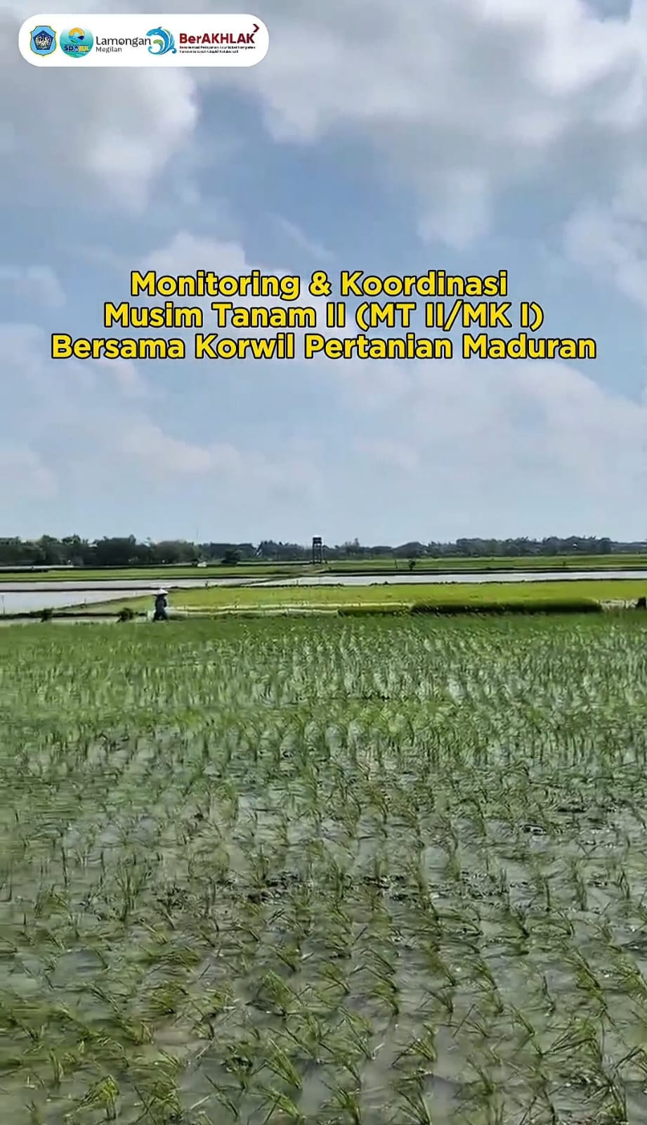 Foto: Monitoring Dan Koordinasi Musim Tanam (MT II/MK I) Bersama Korwil Pertanian Maduran