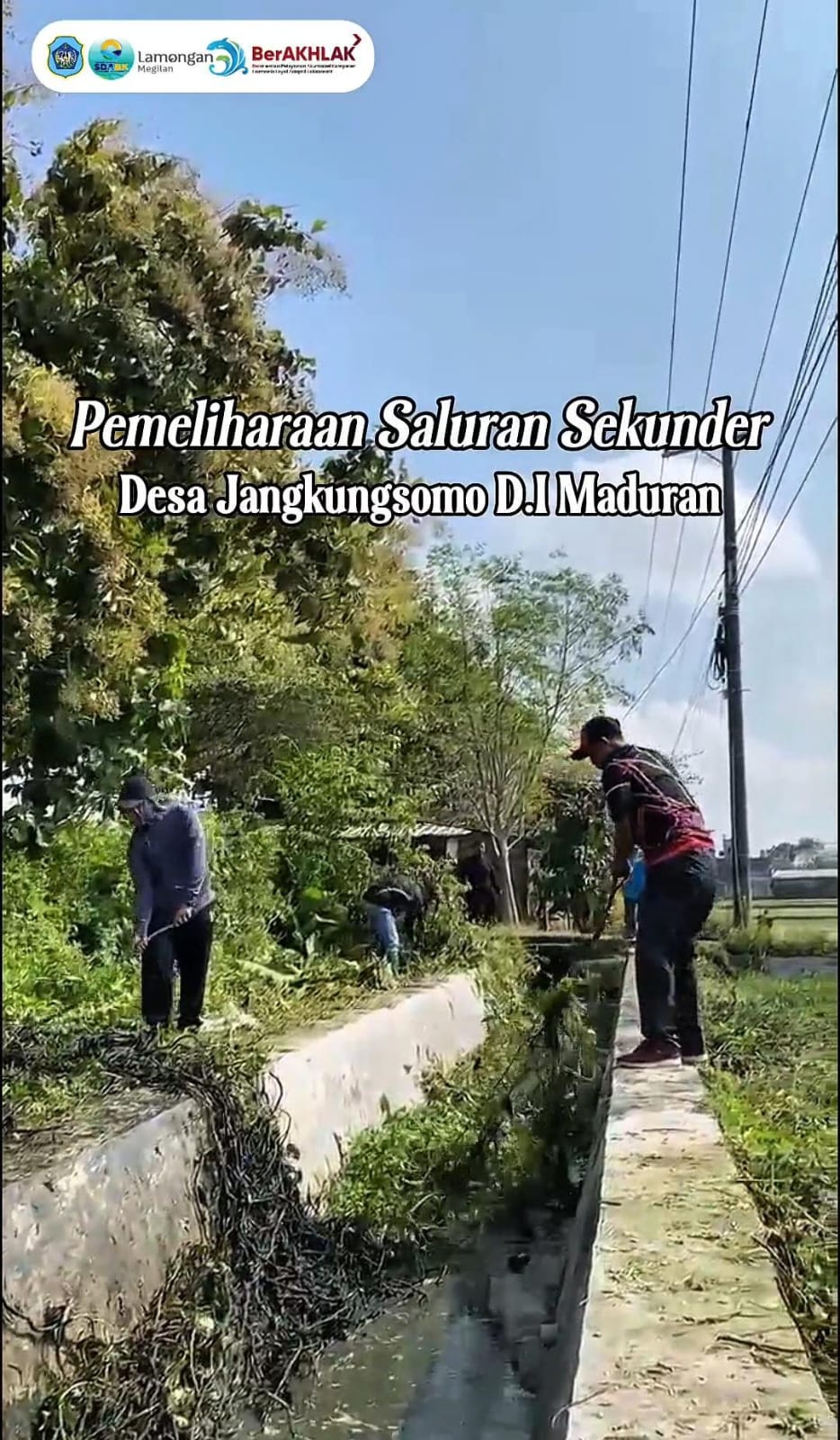 Foto: Pemeliharaan Saluran Sekunder Desa Jangkungsomo D.I Maduran UPTD PSDA Karanggeneng
