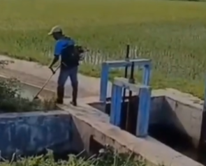 Foto: Edukasi: Pentingnya Pemeliharaan Rutin Pembersihan Rumput Liar di Sekitar Pintu Intake dan Saluran