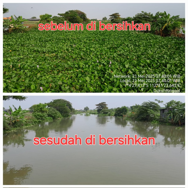 Kerja bahkti Pembersihan Enceng gondok