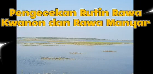Foto: UPT PSDA Babat Lakukan Pengecekan Rutin di Rawa Kwanon dan Rawa Manyar