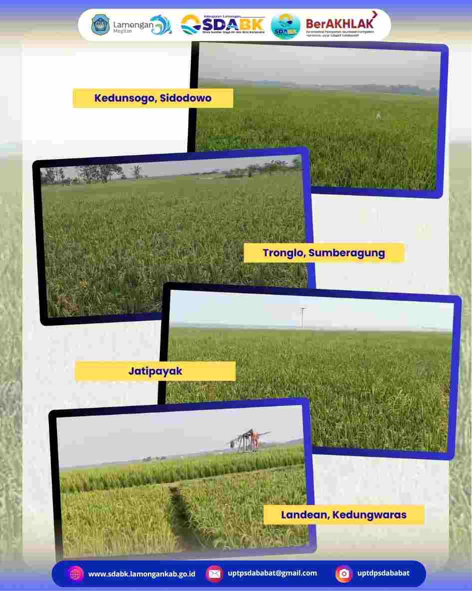 Foto: Dukung Produktivitas Petani, UPTD PSDA Babat Monitoring Ketersediaan Air dan Perkembangan Tanaman di D.I. Waduk Bowo
