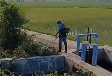 Foto: UPTD PSDA Babat Lakukan Pemeliharaan Rutin Infrastruktur SDA di Rawa Kwanon