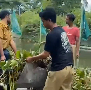 Foto: Pengangkutan Eceng Gondok di Rawa Sogo, Aliran Air Dijaga Tetap Lancar
