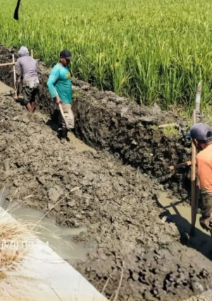 Foto: Sinergi Pengelolaan Irigasi, UPTD PSDA Babat Bahas Rehabilitasi Saluran di Desa Patihan Kecamatan Babat