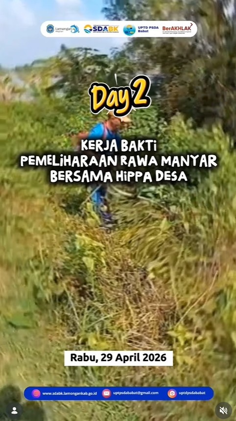 Foto: Kerja Bakti Pemeliharaan Rawa Manyar