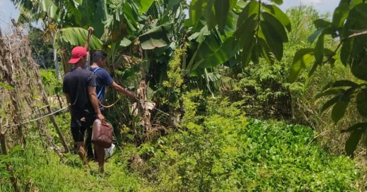Foto: Kegiatan Penyemprotan Herbisida Akuatik dalam Pengendalian Eceng Gondok di Daerah Irigasi Waduk Palangan