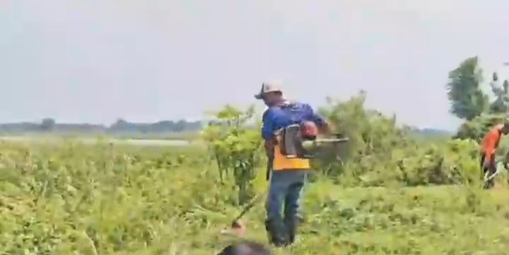 Foto: Tim UPTD PSDA Babat melaksanakan kegiatan kerja bakti pemeliharaan Rawa Bulu dengan pembersihan rumput dan vegetasi liar sepanjang ±3 km tanggul Rawa Bulu.