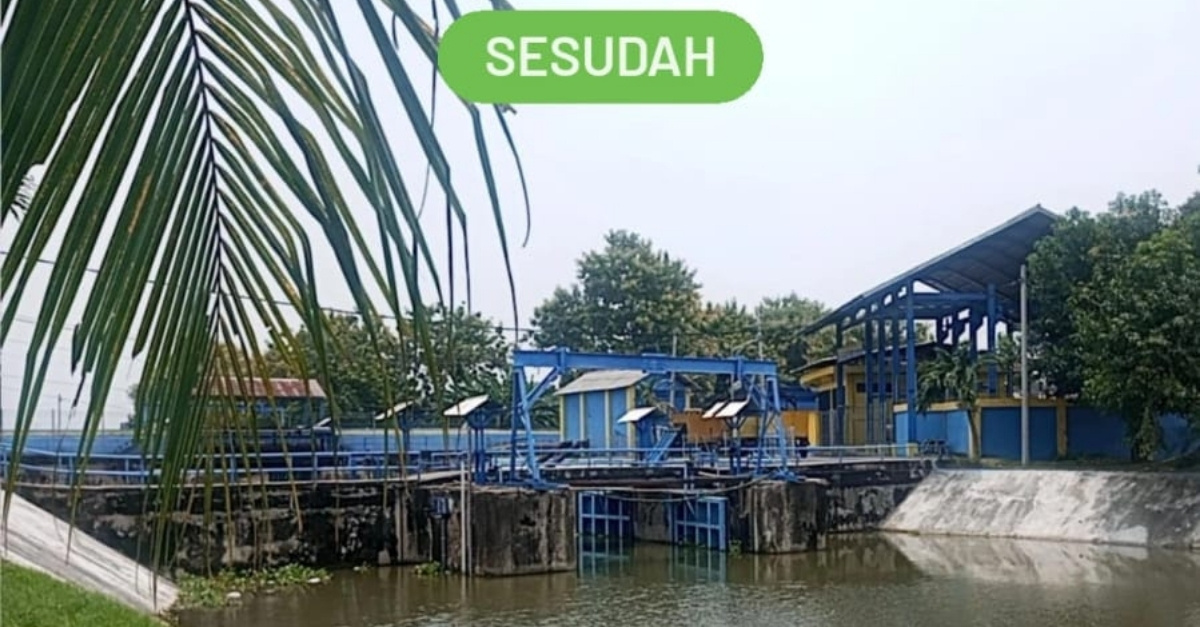 Penggelontoran Eceng Gondok di Pintu Air Kuro oleh UPTD PSDA Kuro bersama TPOP Bengawan Jero