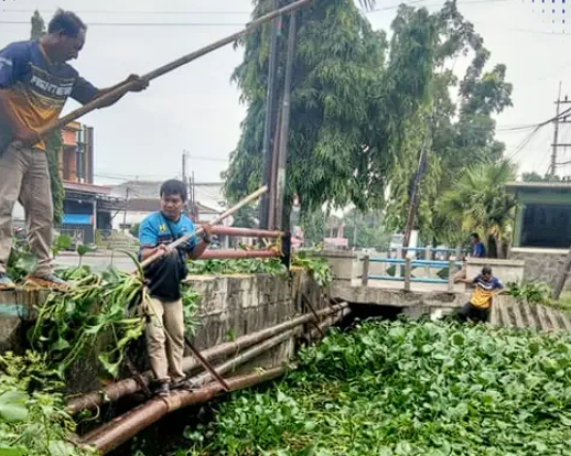 Foto: Pembersihan Eceng Gondok di Rawa Sogo, Jaga Kelancaran Aliran Air