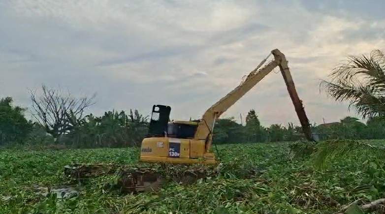 Foto: Penggelontoran Eceng Gondok di Jembatan Desa Pasi, Kecamtan Glagah